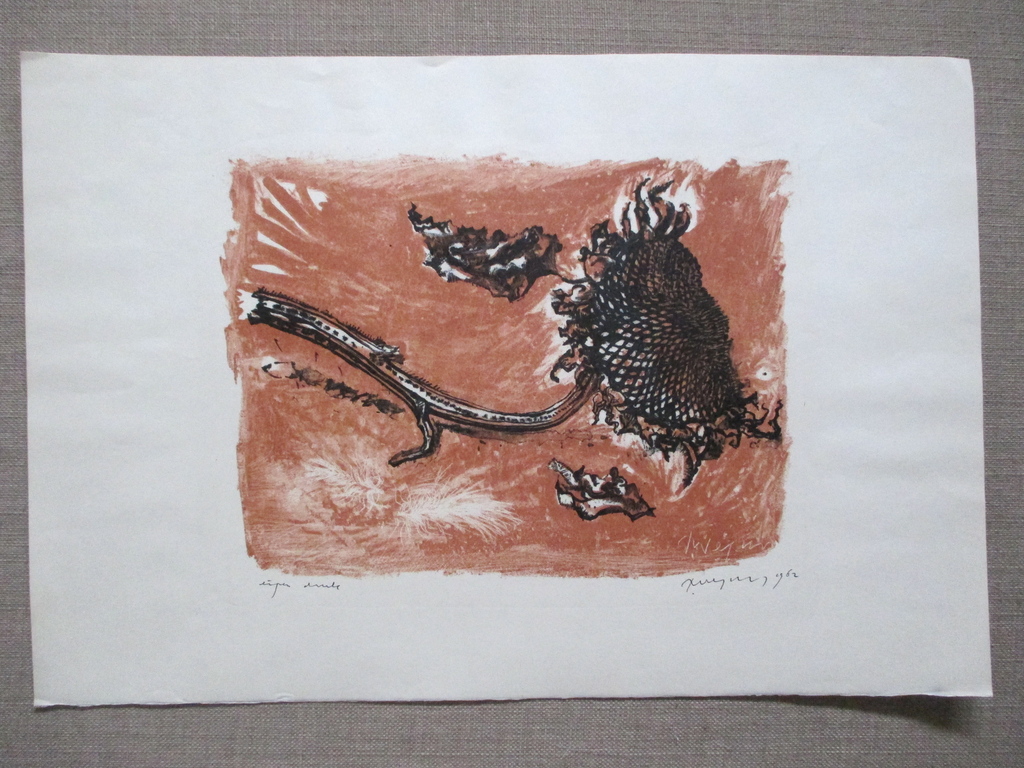 Toon Wegner, litho, 1962 kopen? Bied vanaf 35!