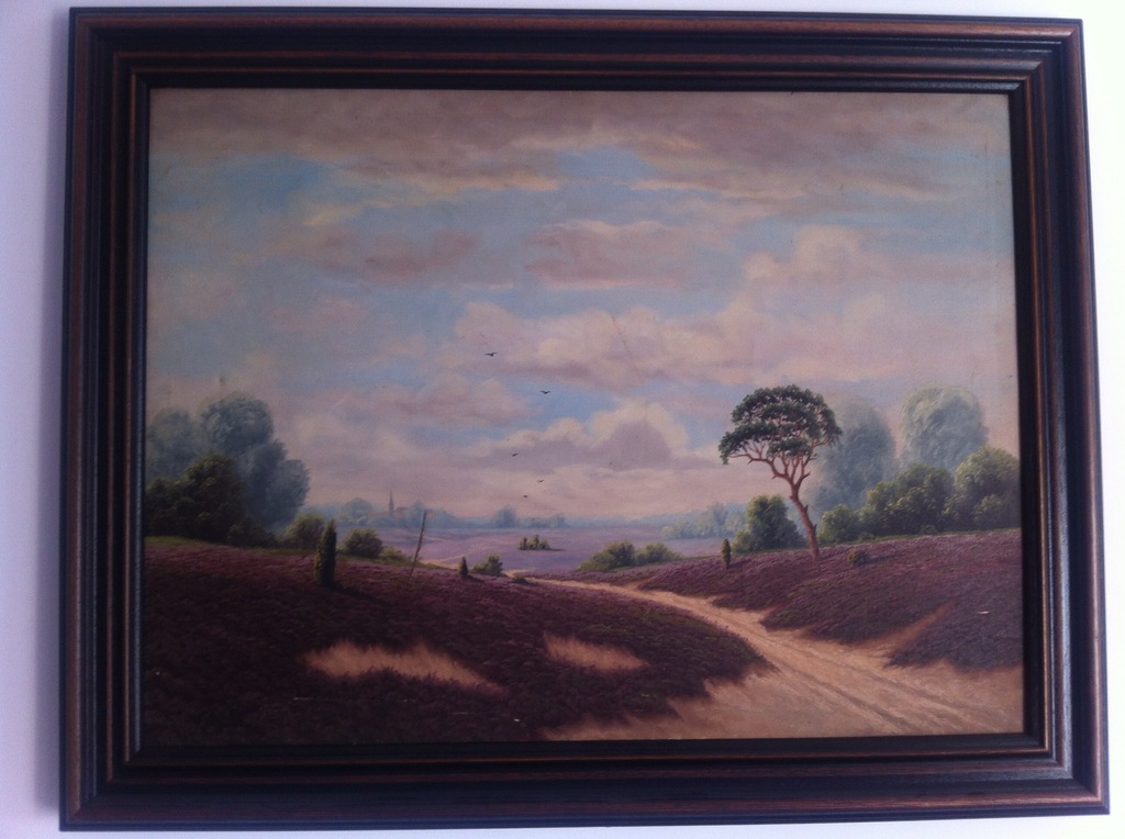 Lavendelveld kopen? Bied vanaf 45!