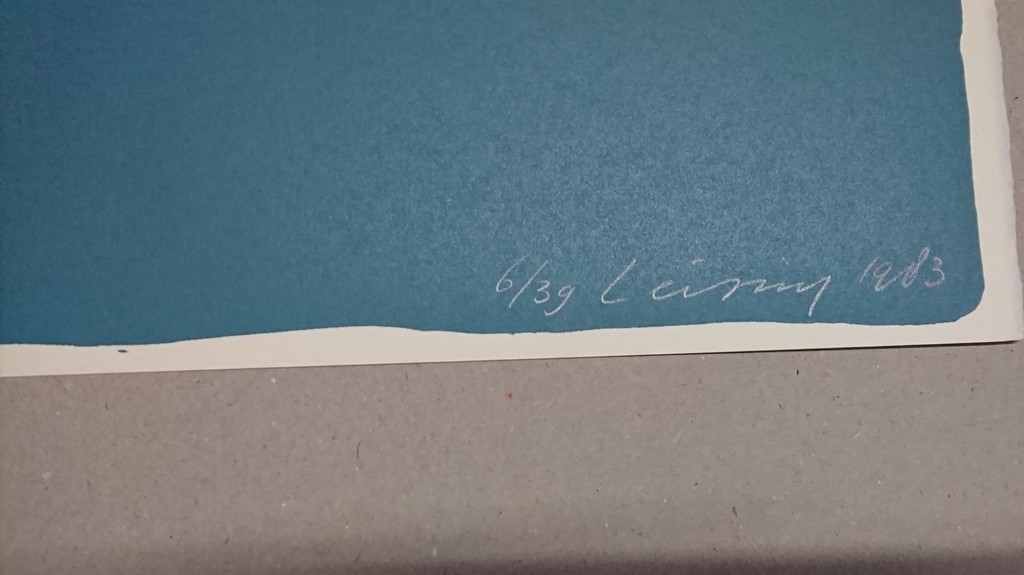 Henk Leiting,zeefdruk, Unoccupied 2 kopen? Bied vanaf 20!