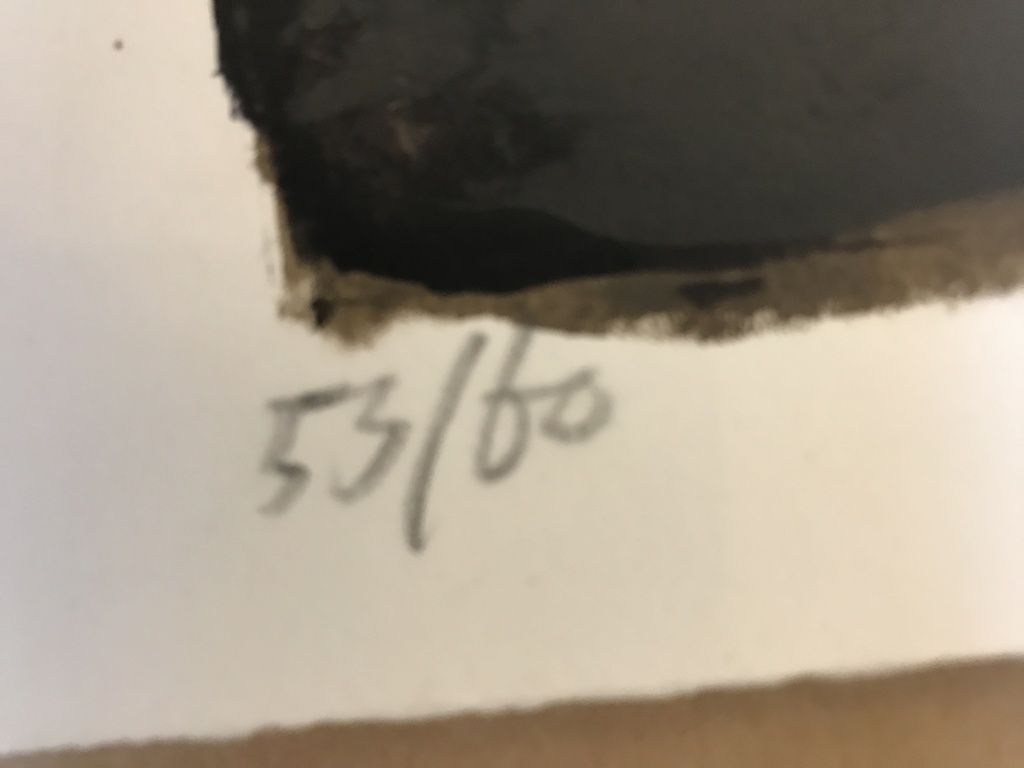 John Lie A Fo   1 originele zeefdruk / Litho gesigneerd 1993 kopen? Bied vanaf 1!