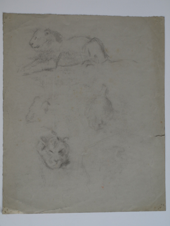 Onbekend : Tekening , Portret man met bril en 2 leeuwen – ca 1920  kopen? Bied vanaf 1!