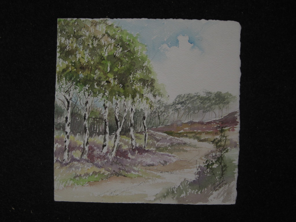 Magnifiek aquarel "Hollands Duinlandschap met berken en heide" gesigneerd kopen? Bied vanaf 1!