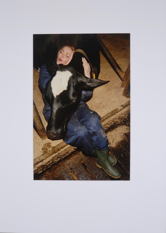 Onbekende kunstenaar: Foto, Koeknuffel kopen? Bied vanaf 1!