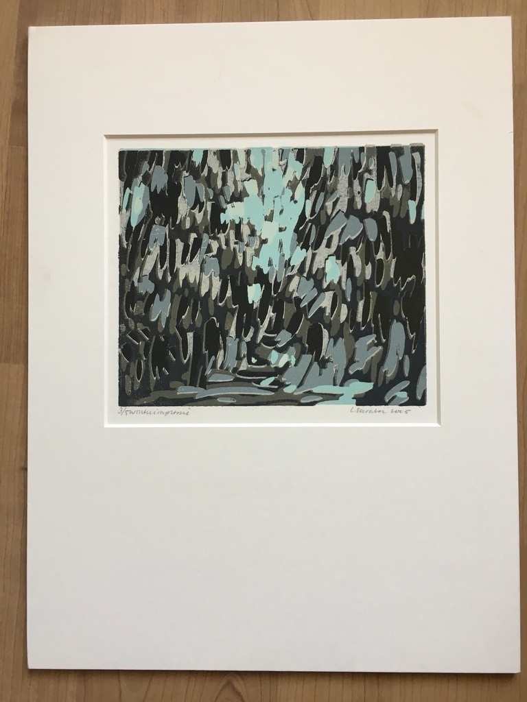 "Winterimpressie" druk zeer 3/5 lage oplage. In passe-p, goed st. PRIJSVERLAGING kopen? Bied vanaf 30!