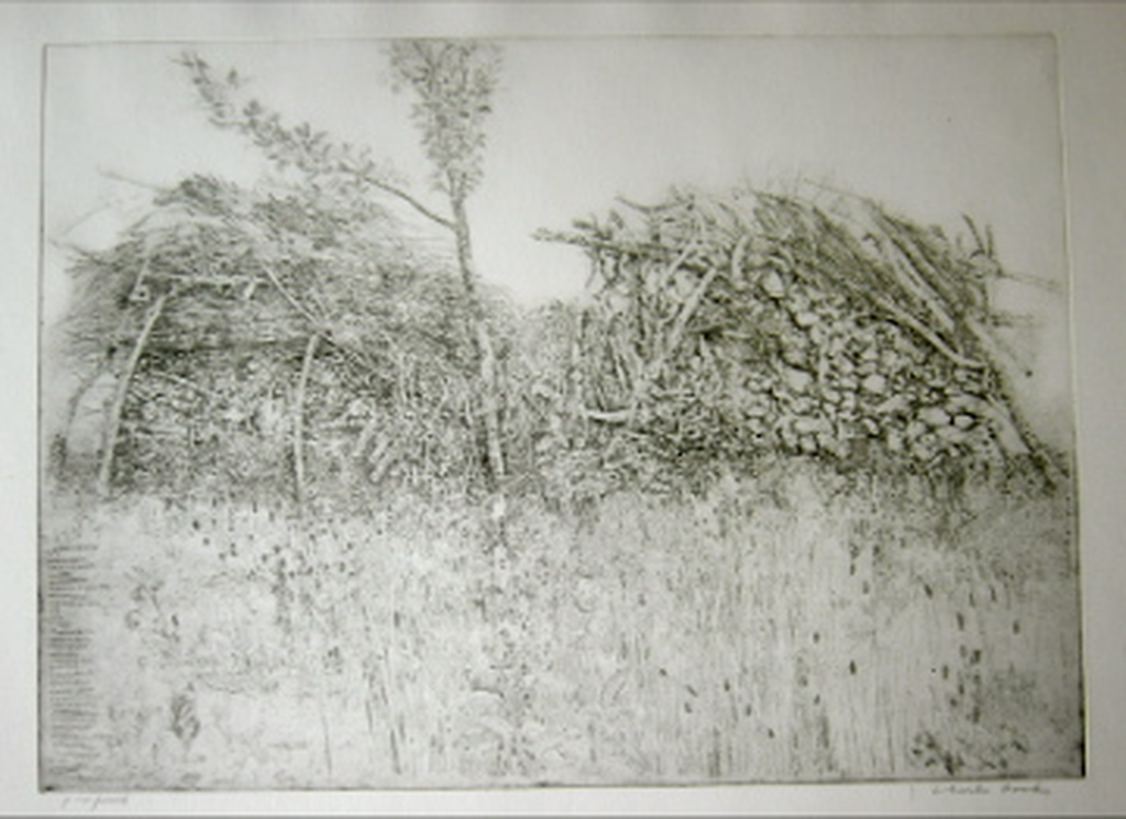 Takkenbossen met vogel en plantennamen kopen? Bied vanaf 125!