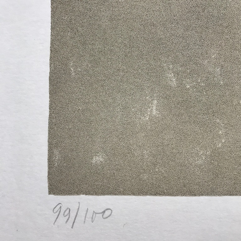 Dan Van Severen - Kleurenzeefdruk - Gesigneerd kopen? Bied vanaf 235!