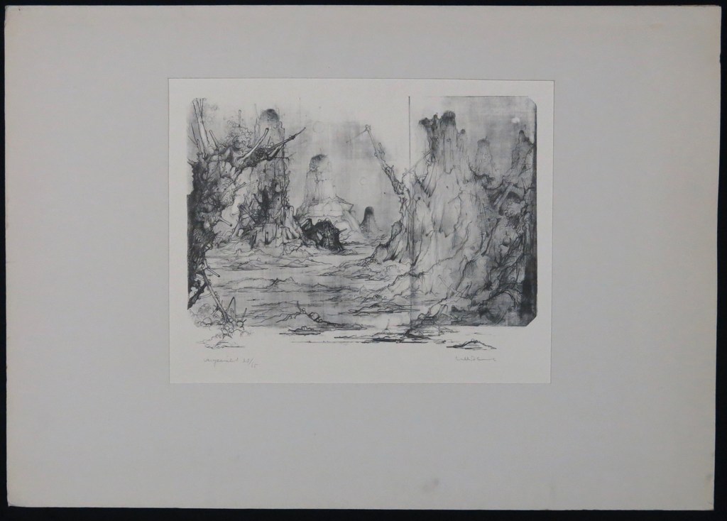 Dirkje Kuik: Litho, Vergezicht kopen? Bied vanaf 50!