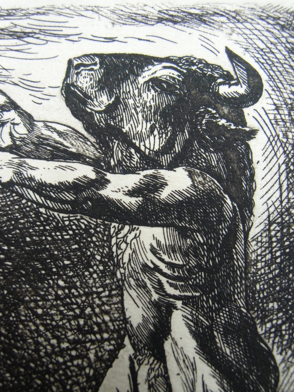 MINOTAURUS // ETS VAN DICK STOLWIJK verkocht voor € 40!