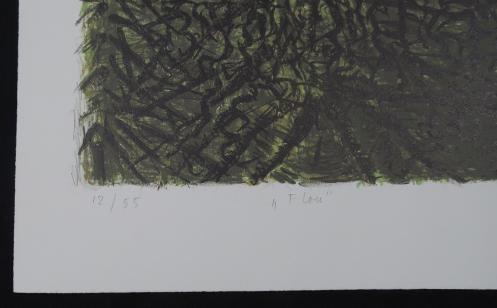 Jacobien de Rooij: Litho, Flou kopen? Bied vanaf 1!