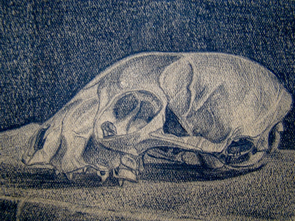 Chris Moret (1906-1979) - Vanitas stilleven 1928 - potlood kopen? Bied vanaf 1!