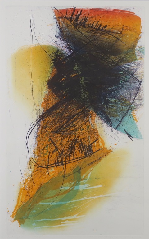Hans Vredegoor: Ets en Aquatint, Entangled - Ingelijst kopen? Bied vanaf 40!