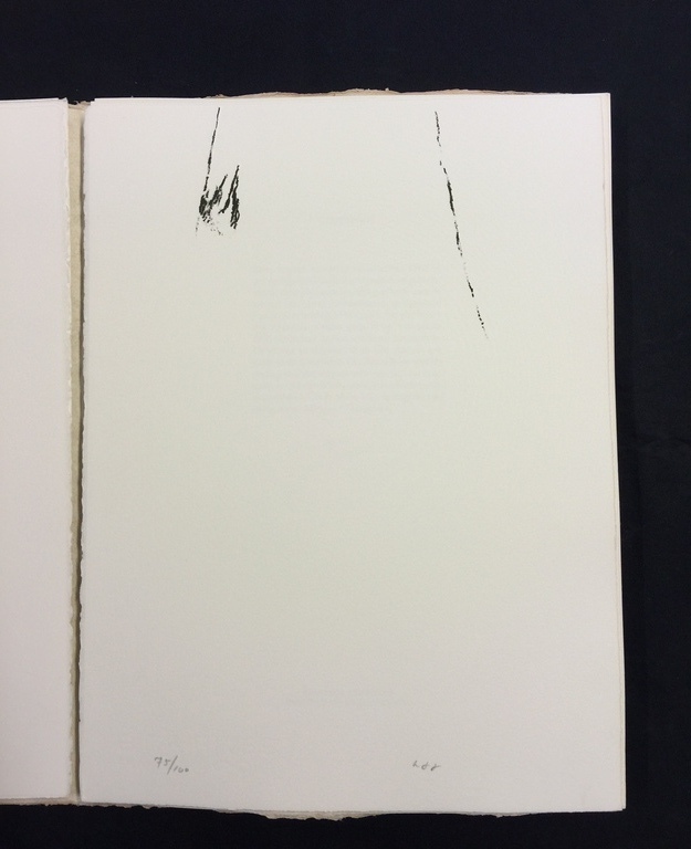 Armando: volledig portefolio met 4 ltho's en een gedicht van Goethe kopen? Bied vanaf 200!