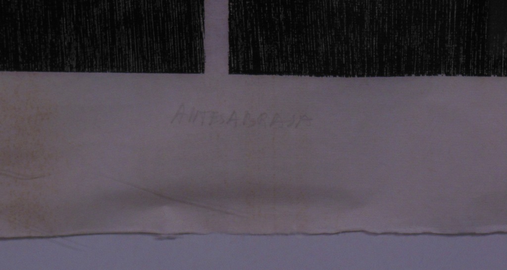 Kassiel Gerrits: Houtsnede, Antesabrasa -Ingelijst (bijzonder formaat) kopen? Bied vanaf 35!