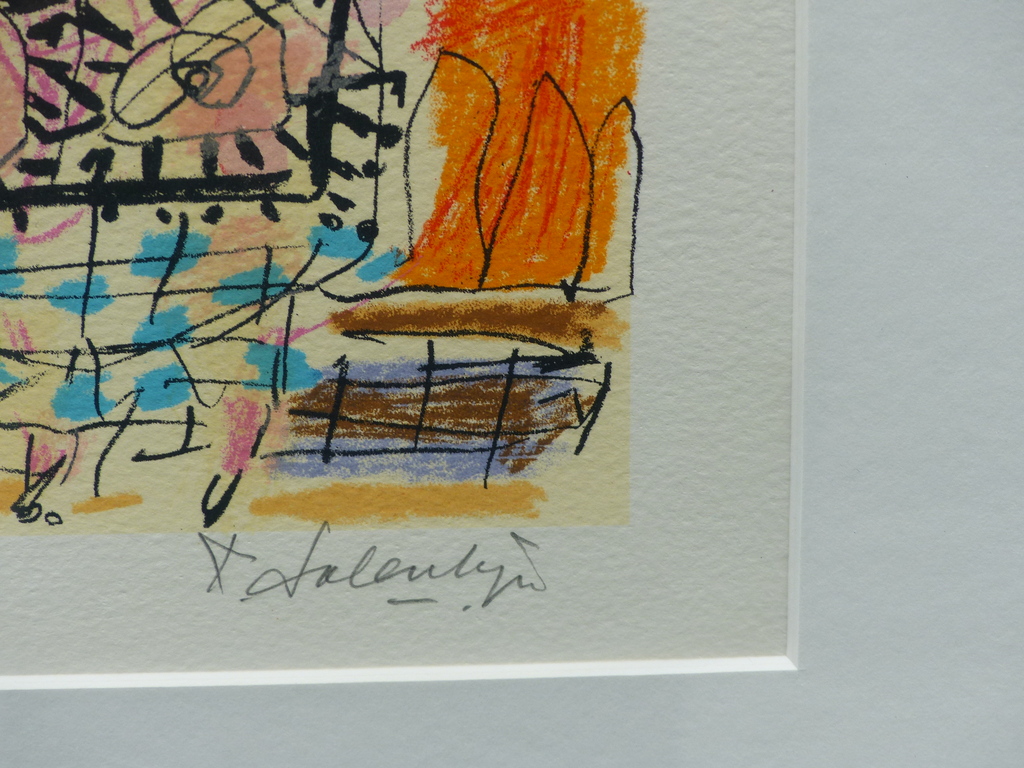 Kees Salentijn,Ingelijst ,Handgesigneerd Oplage 45/175 kopen? Bied vanaf 70!