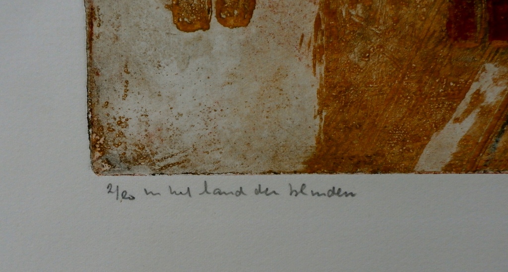 Hans Buining - ets: in het land der blinden - 1998 - oplage 20 stuks kopen? Bied vanaf 55!