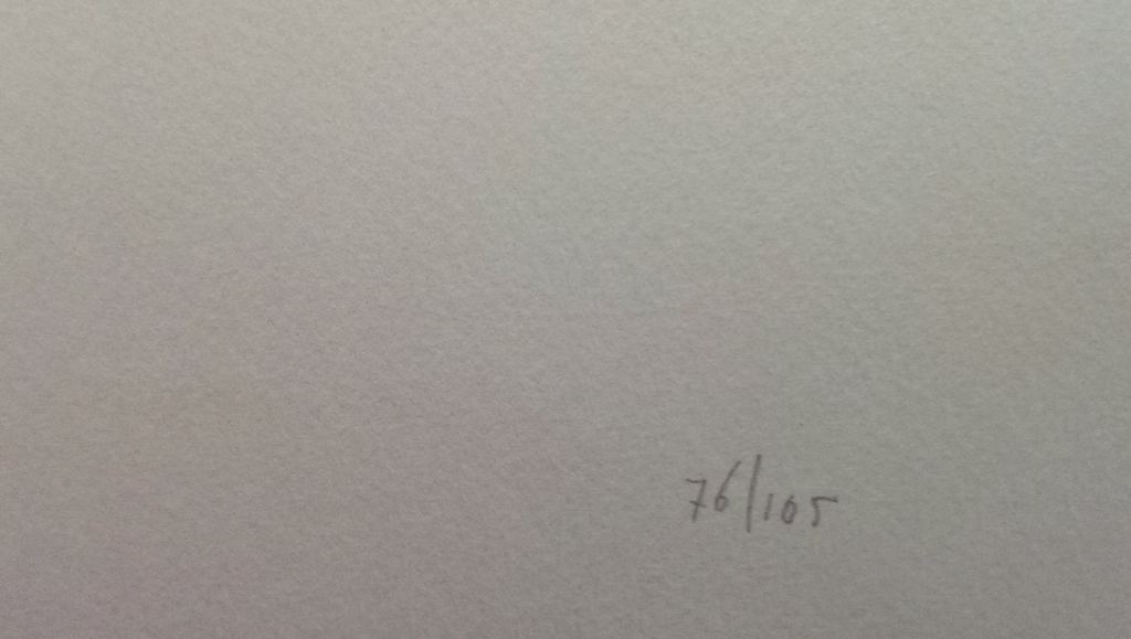 aquarel zeefdruk kopen? Bied vanaf 1!