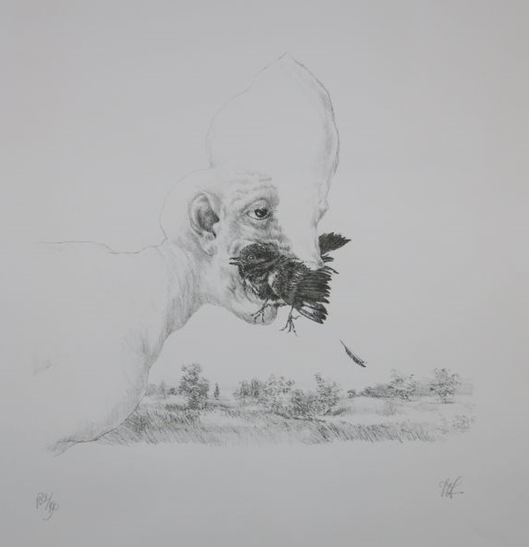 Peter Vos: Litho, Man en vogel verkocht voor € 40!