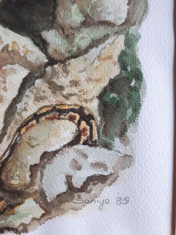 Saniye Bildircin, aquarel set getiteld Vrijheid kopen? Bied vanaf 50!