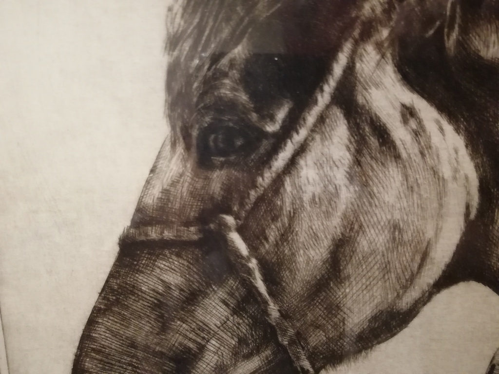 oude houtskool tekening - onbekend kunstenaar - paarden hoofden  kopen? Bied vanaf 20!