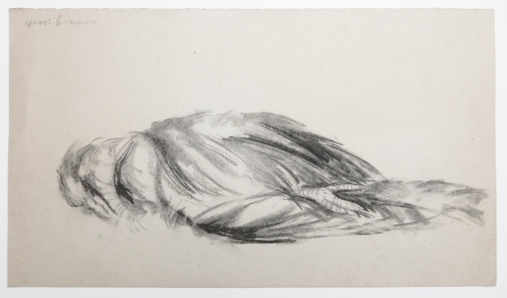 Willem Kouwer Boomkens (1911-1991) - Dode vogel kopen? Bied vanaf 1!