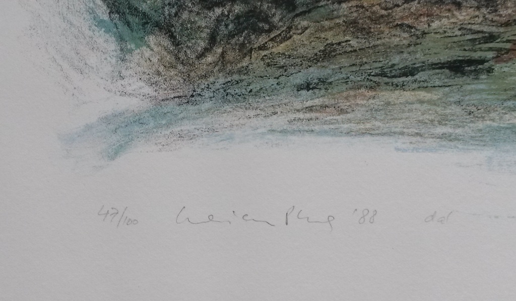 Marian Plug - zeefdruk - Dal kopen? Bied vanaf 50!