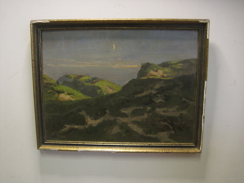Sfeervol impressionistisch olieverf "Duinlandschap bij maanlicht" gesigneerd  verkocht voor € 60!