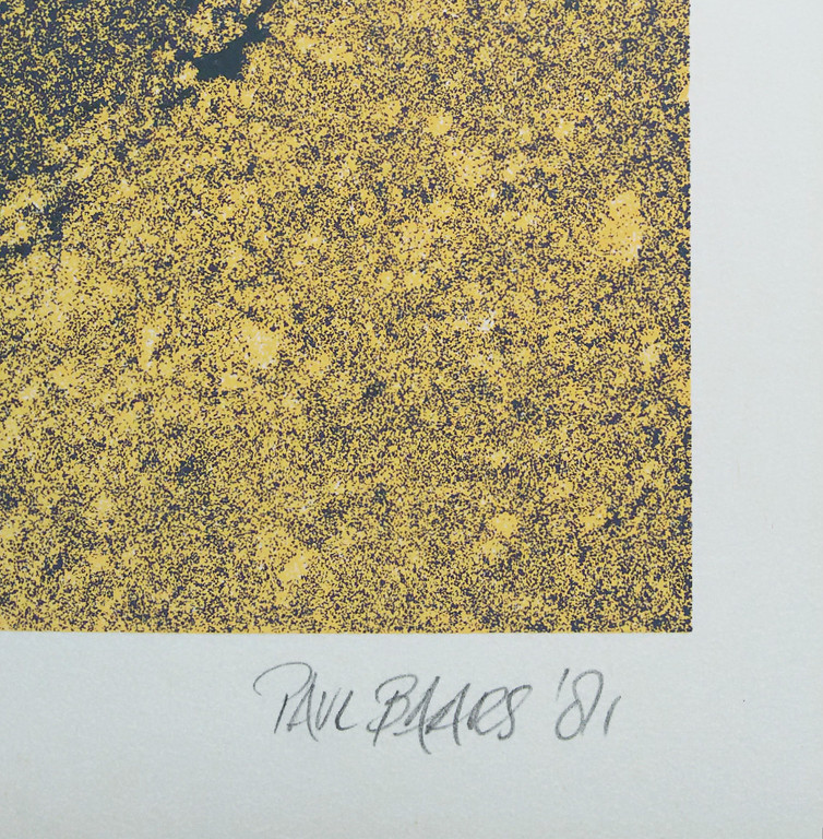 Paul Baars - Paris water, zeefdruk (zonder 10 euro toeslag) kopen? Bied vanaf 20!