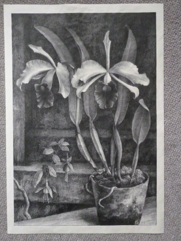 Jan Visser - litho - Orchidee en fuchsia kopen? Bied vanaf 25!