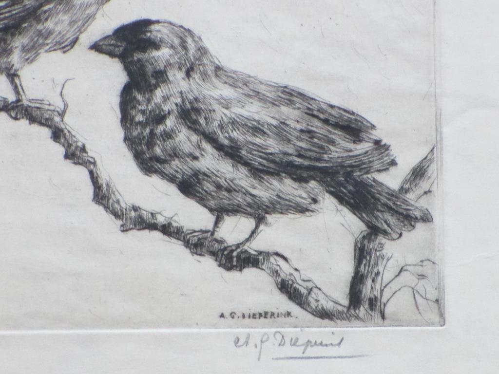 A.G.Dieperink, Vogels op een tak, Ets kopen? Bied vanaf 35!