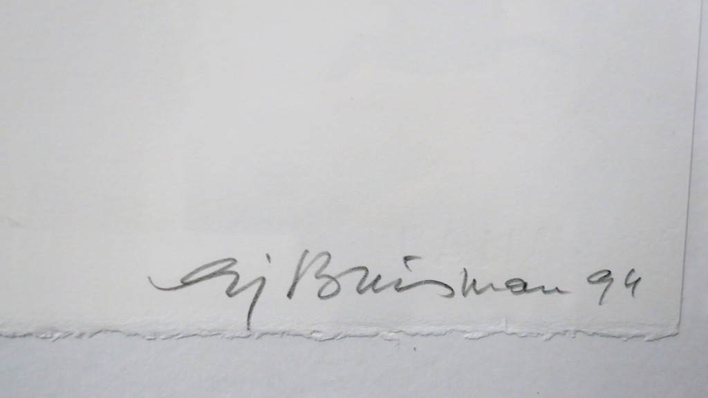 Sjoerd Buisman: Litho, Rhizome - Ingelijst kopen? Bied vanaf 25!