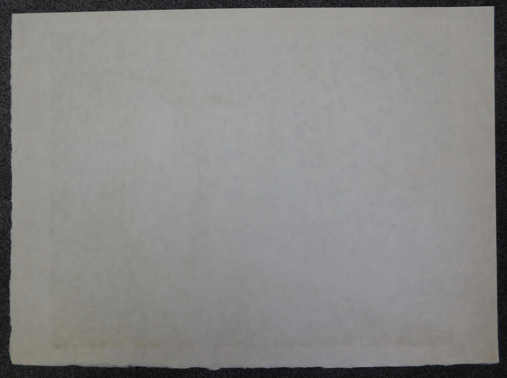 Bernard Moldawan - Kleurenlitho - Electric Feather kopen? Bied vanaf 45!