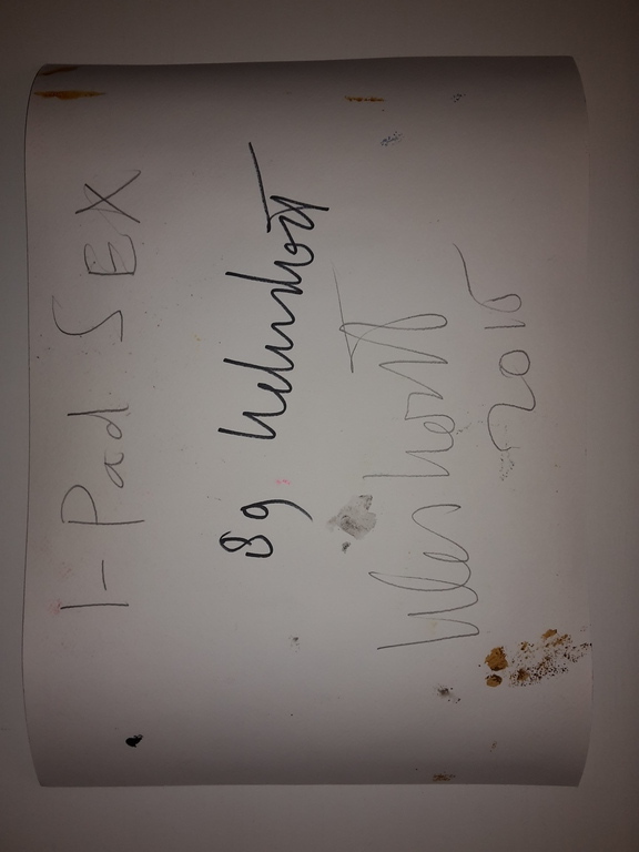 Peter Klashorst - I-pad sex - gemengde techniek op papier - gesigneerd - 2015 kopen? Bied vanaf 85!