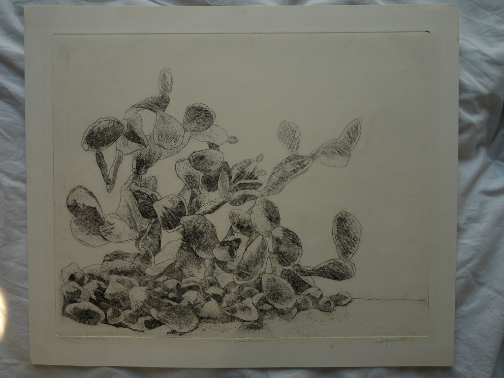 Walter Barten : Ets , De cactussen – gesigneerd – ca 1980 kopen? Bied vanaf 1!