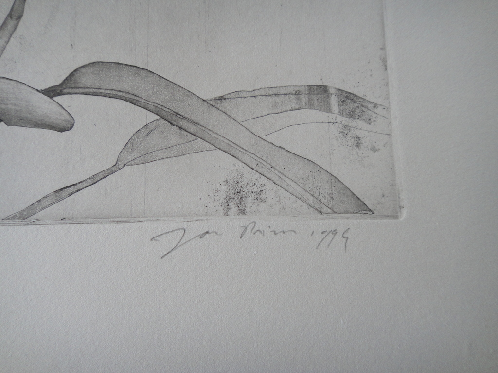 Jan Prins (1956) - (zeldzame) ets - tropische bloemen I kopen? Bied vanaf 1!