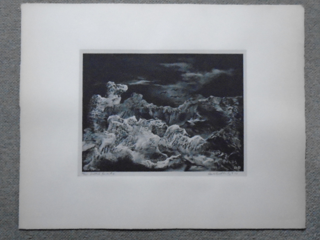 Aart van Dobbenburgh - litho - Achtste landschap kopen? Bied vanaf 40!