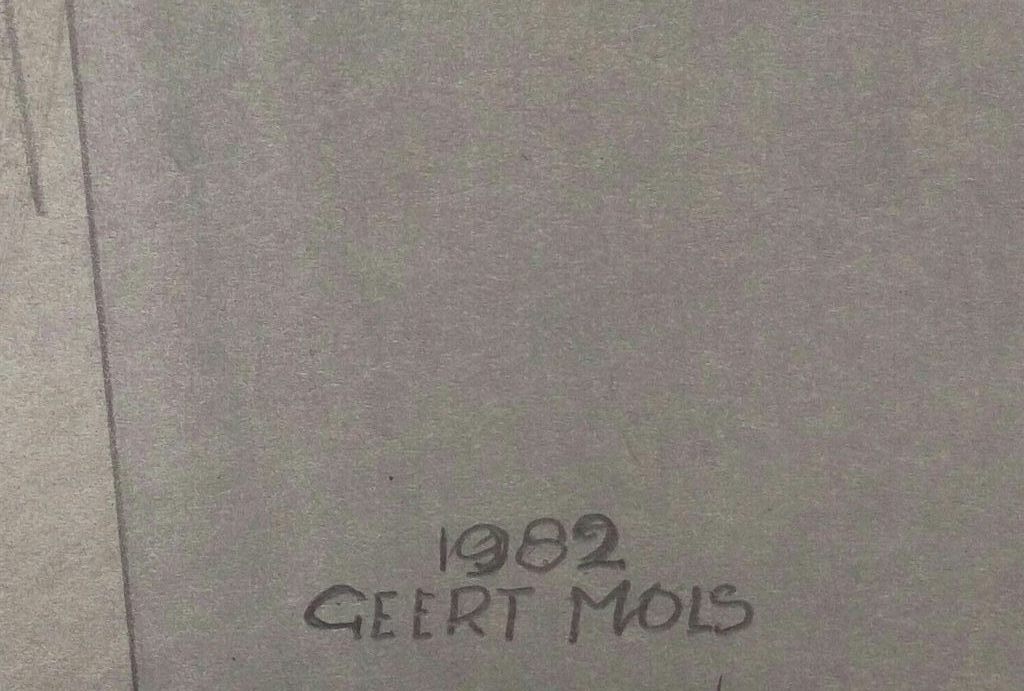 Geert Mols: acryl op papier, z.t., groot werk uit 1982 kopen? Bied vanaf 50!