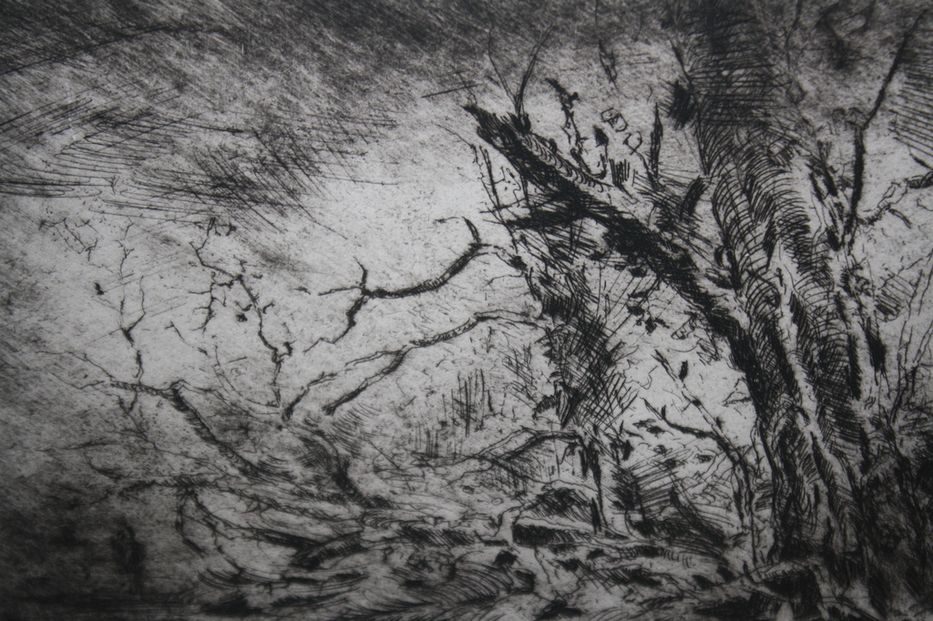 BOSLANDSCHAP  - ETS WIM STEIJN  - LEERLING KEES VERWEY kopen? Bied vanaf 39!