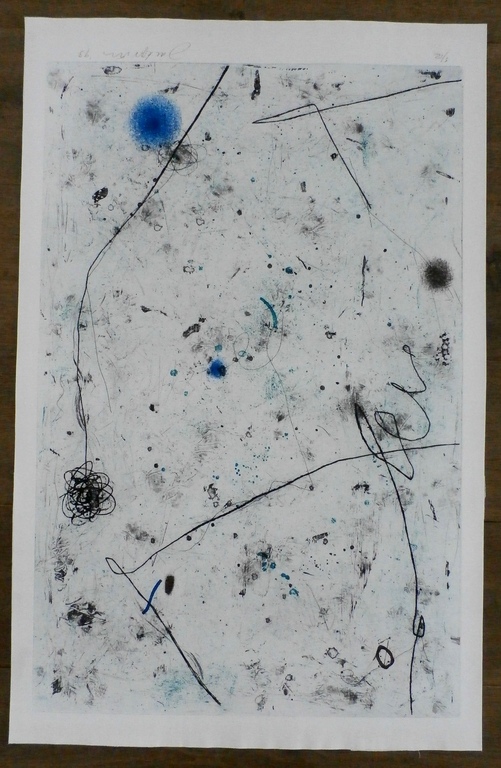 Jack Prins - grote ets - 1993 - oplage: 12 stuks kopen? Bied vanaf 75!