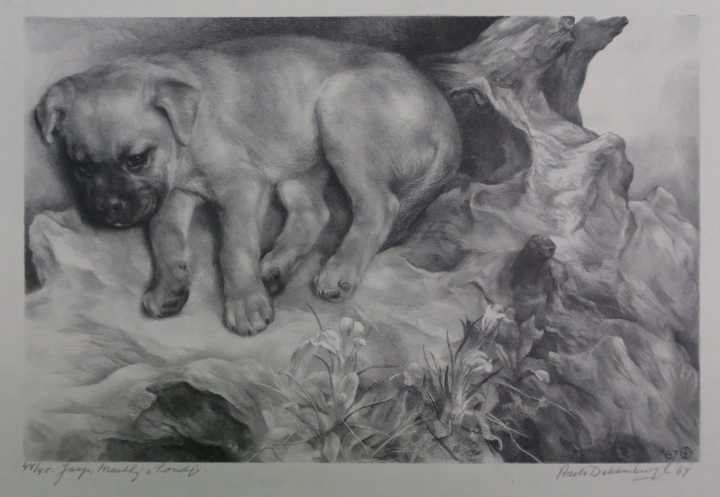 Aart van Dobbenburgh: Litho, Joep, Marthy's hondje kopen? Bied vanaf 1!