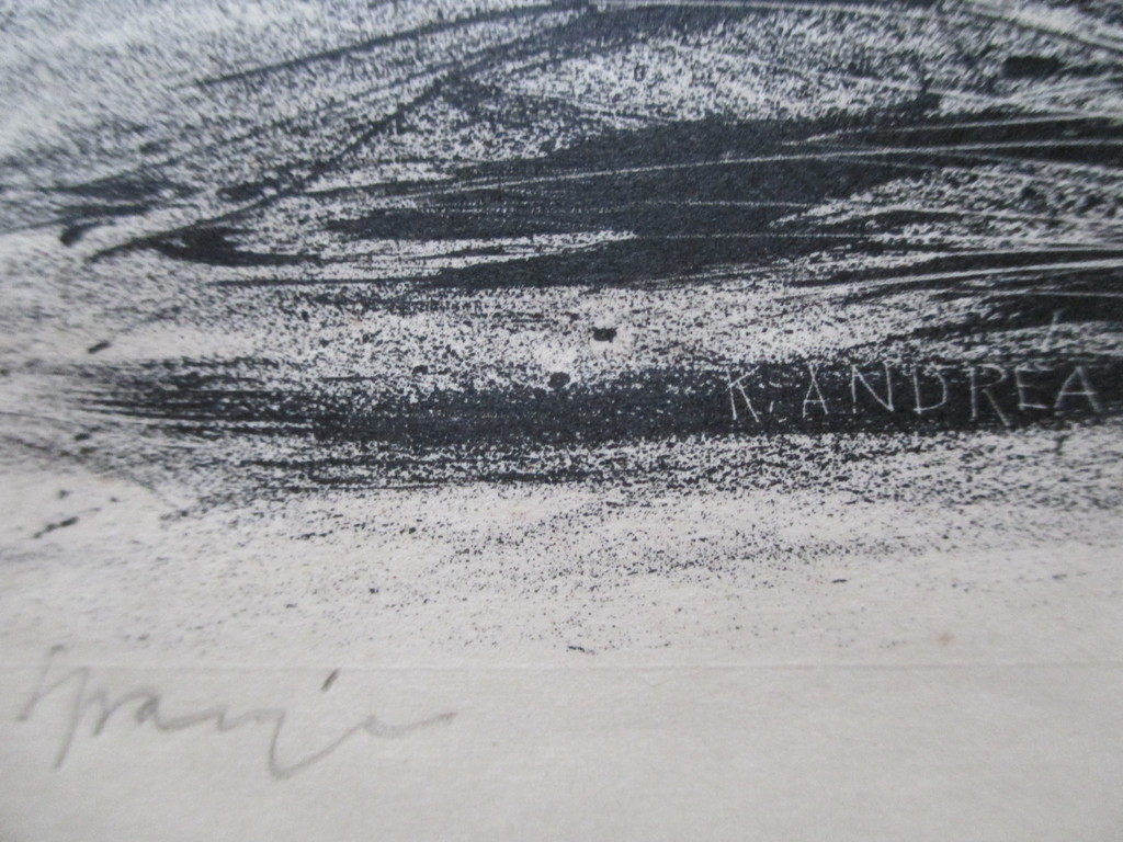 Kees Andrea, Litho  kopen? Bied vanaf 35!