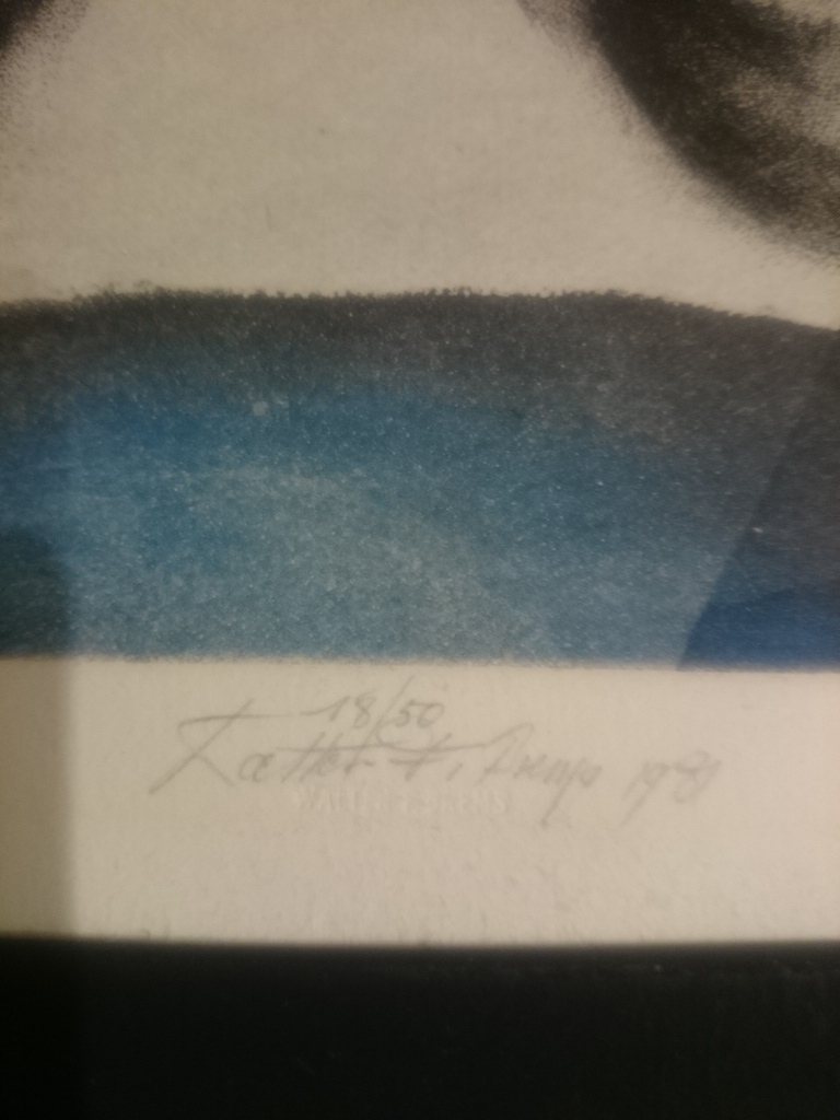 Walter F Brems - Handgesigneerde litho 1981 kopen? Bied vanaf 59!
