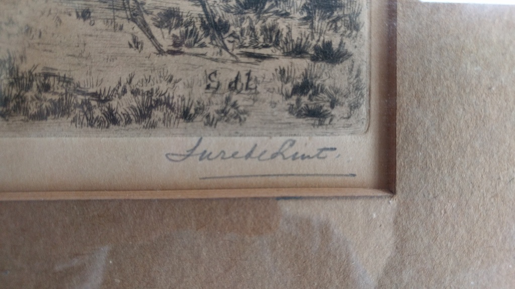 Boerderij met bomen kopen? Bied vanaf 25!