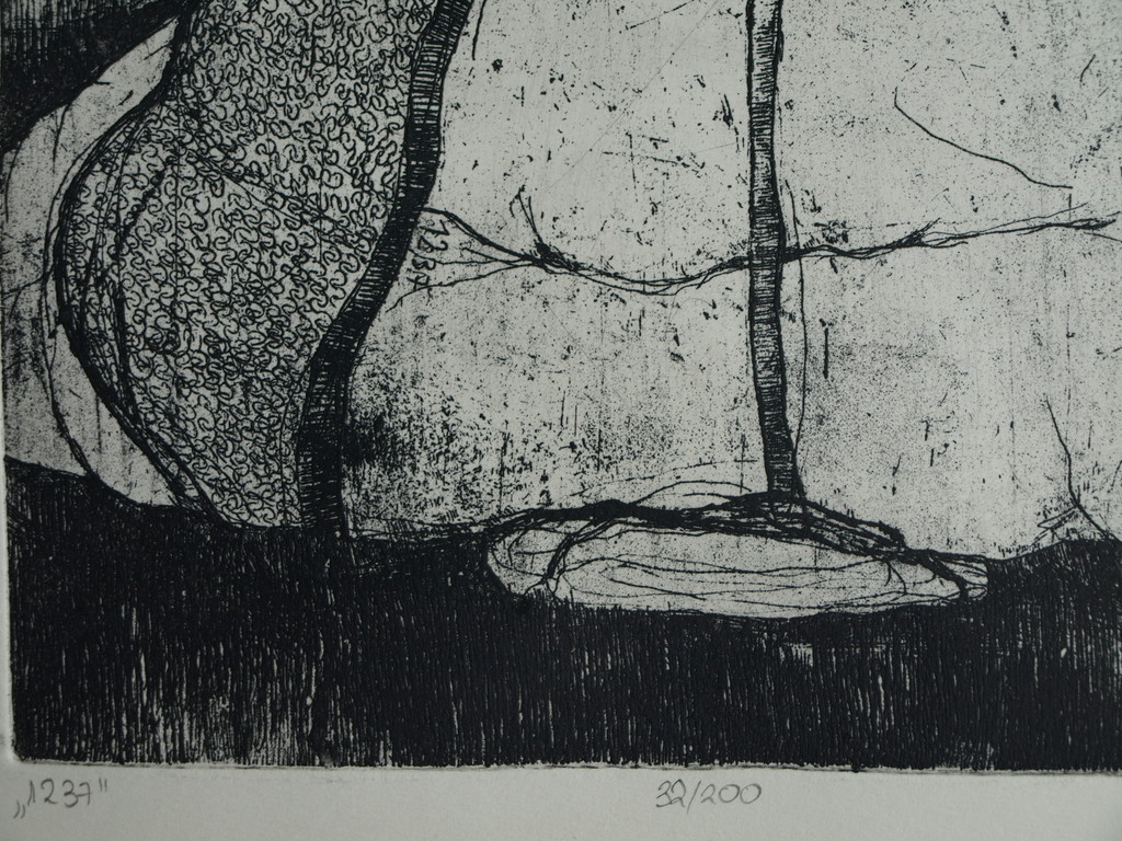 Onbekende kunstenaar : Ets – Titel: 1237 – 2003/2004 – 49 x 20 cm      kopen? Bied vanaf 1!