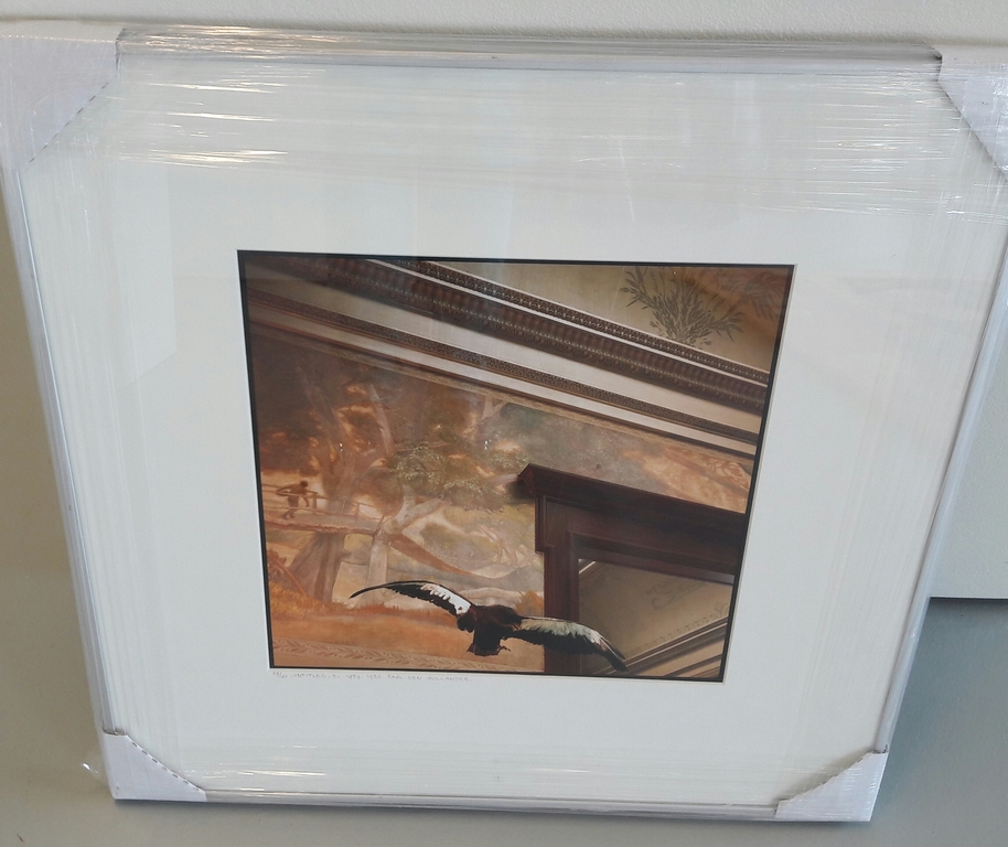 Paul den Hollander,  fotografie kopen? Bied vanaf 50!