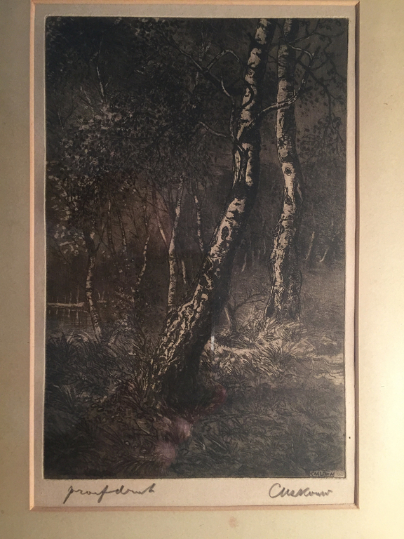 Casper Marinus Kouw, litho proefdruk, zonder titel (Berkenbos) kopen? Bied vanaf 1!