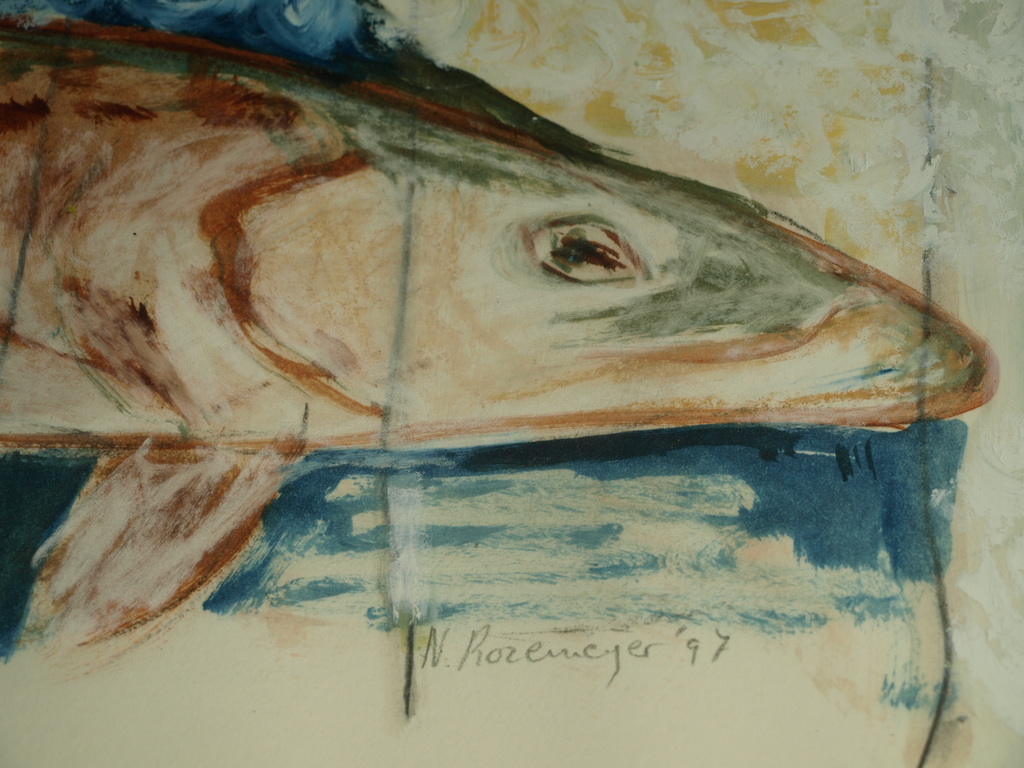 Nicola Rozemeijer : Acrylverf op papier – Vissen – Gesigneerd & ingelijst - 1997 kopen? Bied vanaf 1!