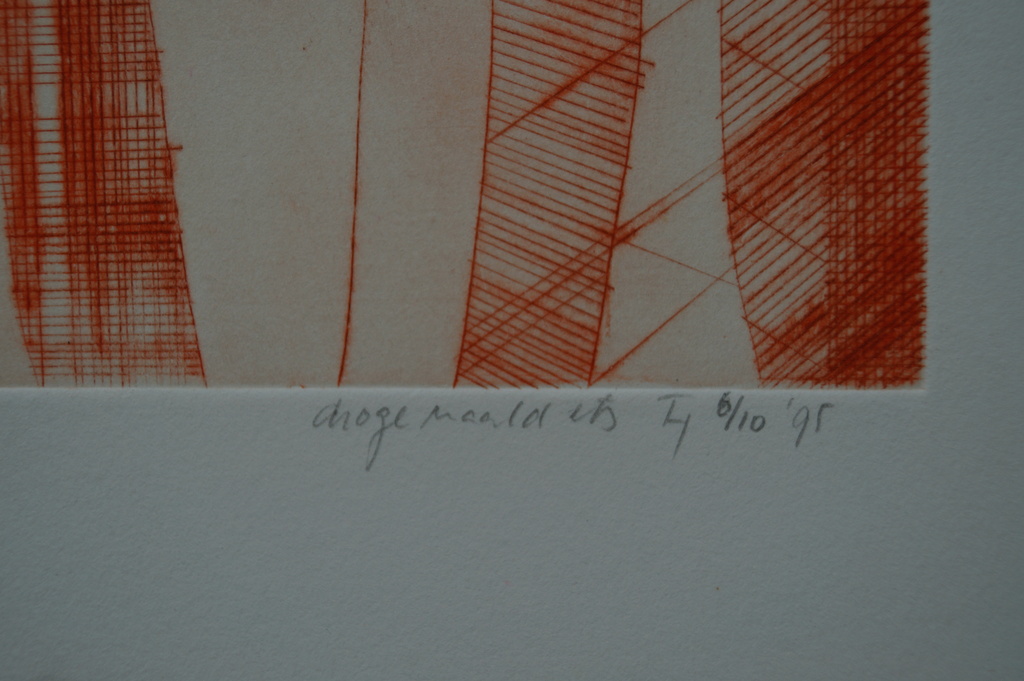 Drie genummerde en gesigneerde etsen droge naald - 1995 kopen? Bied vanaf 1!