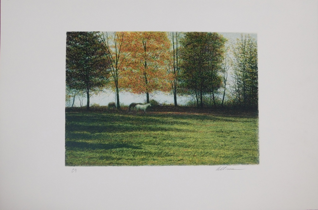 Harold Altman - Kleurenlitho - Paarden in de wei kopen? Bied vanaf 35!