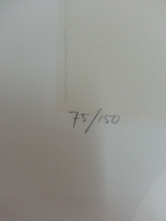 Ron van der Werf, zeefdruk op papier, titel: kopen? Bied vanaf 20!