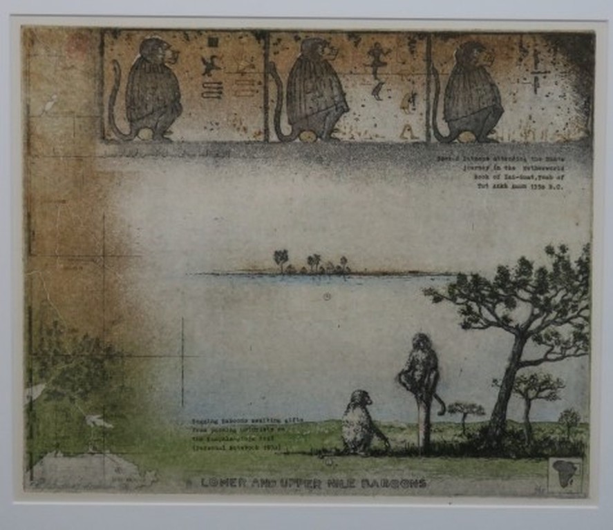 Rolf Weijburg: Ets, Lower and upper Nile baboons - Ingelijst kopen? Bied vanaf 70!